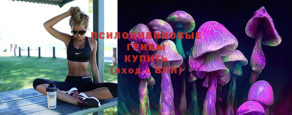метадон Баксан