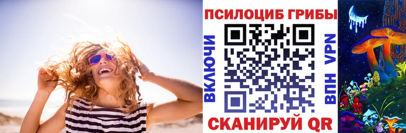 Псилоцибиновые грибы мицелий как найти kraken рабочий сайт Лаишево